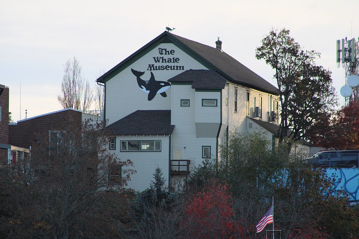 The Whale Museum